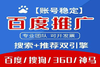 网络推广中的竞价广告：成功案例解析